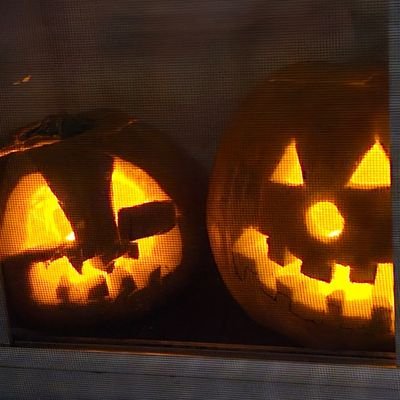 BeauTrahan's profile picture. I am duty-bound to bring the cryptocurrency scammers that prey on families and threaten children to Justice. Apparently, there's a network/sisterhood problem.