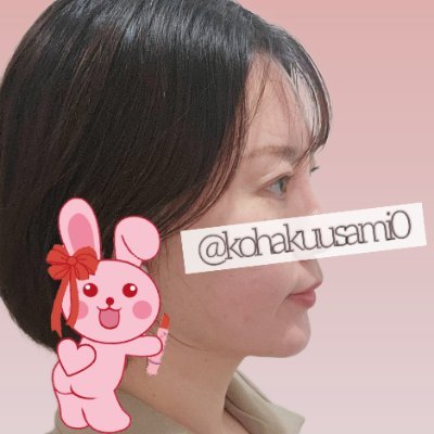 usamikohaku0's profile picture. うつ×過食から最高の私へ、全方位自分磨き中。ITクリエイティブ職|ダイエット&ボディメイク(165cm 77.2kg→58→62 目標53kg)丨美容&整形🇯🇵🇰🇷|勉強(化粧品検定&ダイエット検定1級、TOEIC LR865/S140 目指せ900🔥) #有言実行ネキ