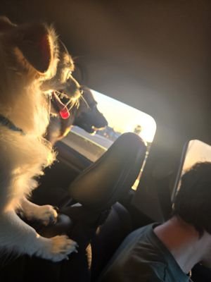 ssandra1018's profile picture. 