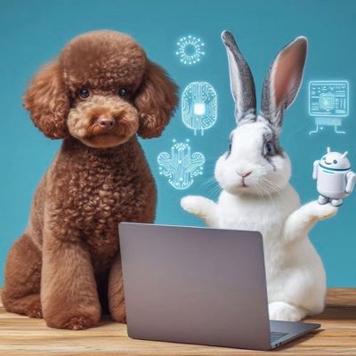 kooysuk49931's profile picture. 