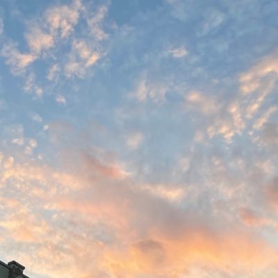 stevehnyc1's profile picture. 24. NYC. 🇰🇷