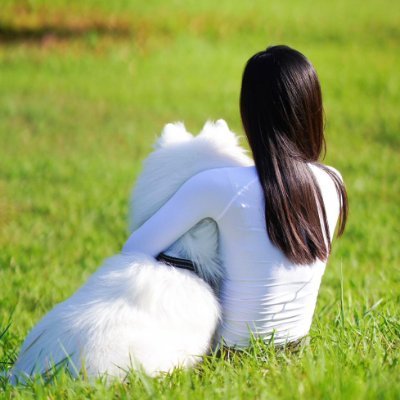 Snowball_RoseS's profile picture. Samoyed parent, travel lover, food explorer
Life with a Samoyed, discovering the world, enjoying good food
