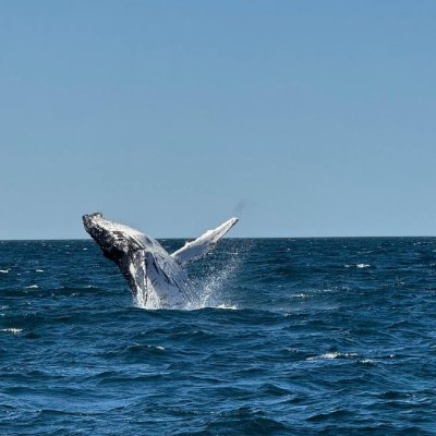 Marina_Jones_8's profile picture. Stay clear-headed amidst chaos, Guard purity through complexity.