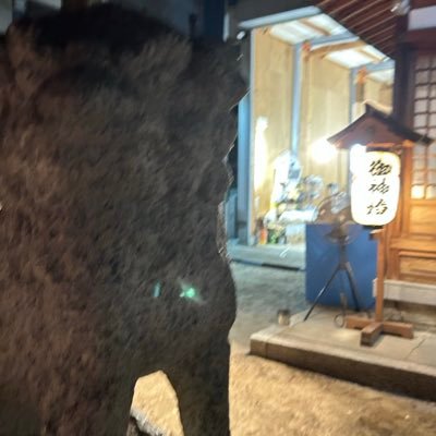 Miysbbx's profile picture. 2023