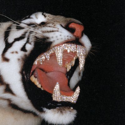 ShivangRaisuran's profile picture. Making everything a social network @Dabble__AI Past - my other companies, @_TheResidency, @UW