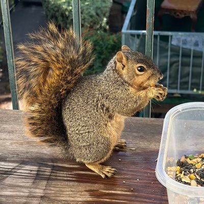 jewboy951's profile picture. 