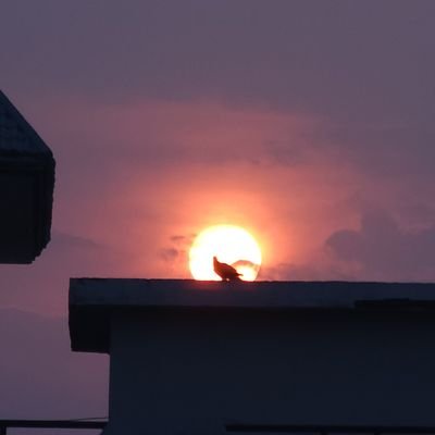 lavdeep's profile picture. Nature | Punjab © All pictures are Mine 📸🌾🏡🗻🌄

#SupportFarmers #Punjab #PlanetEarth