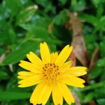 Pavatharani0207's profile picture. 