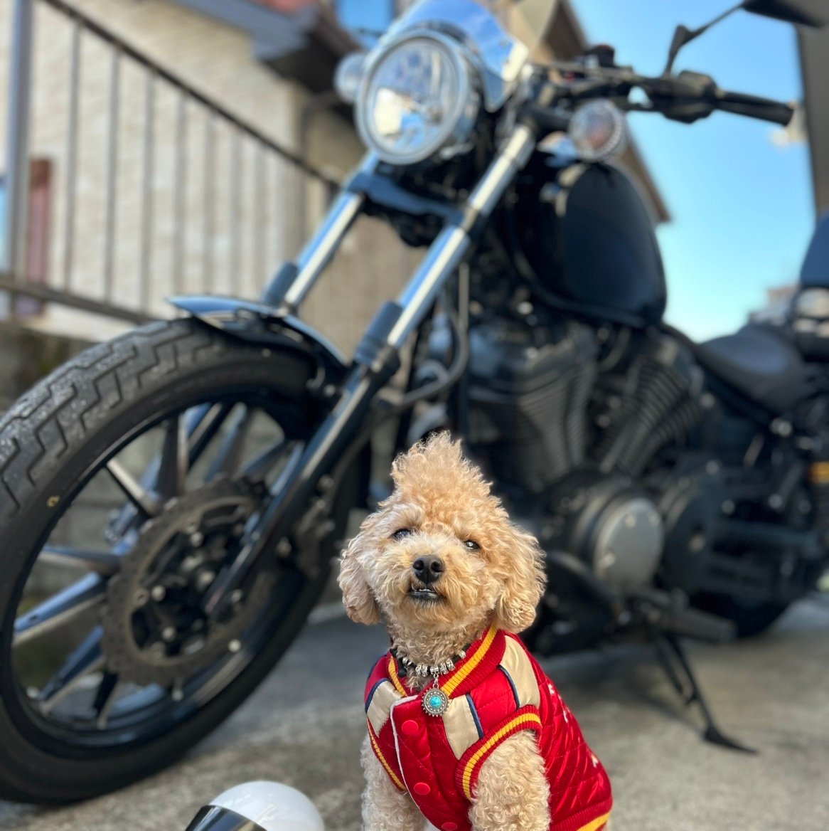 Kawasakinxf's profile picture. 