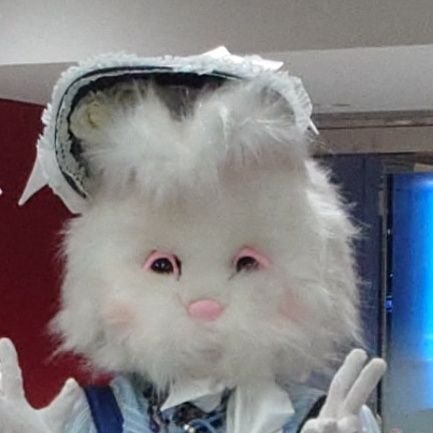 ZBwg1's profile picture. APINK,KISSOFLIFE,STAYC,BABYMONSTER,I-DLE,NMIXX,MAMAMOO,EVERGLOW,TWICE,CLASS:y,QUEENZEYE,PURPLEKISS,ILLIT,QWER,IU,B1A4,TMC,TWS,BOYNEXTDOOR🇰🇷CiON🇯🇵浦和レッズ⚽️