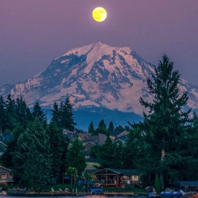 PNWsalute's profile picture. 