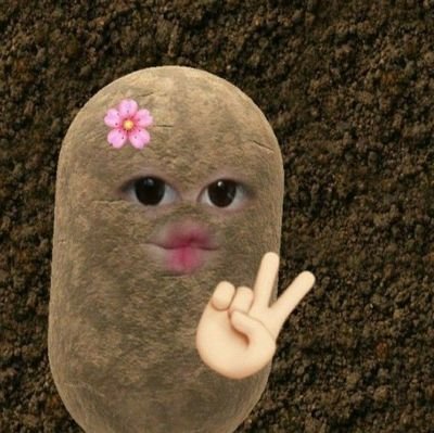stickymilki's profile picture. hello seken cois