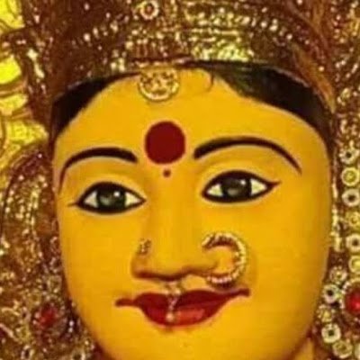 VNivas497735's profile picture. 