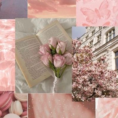 chelseaflowerzz's profile picture. new account ‧₊˚❀༉‧₊˚.