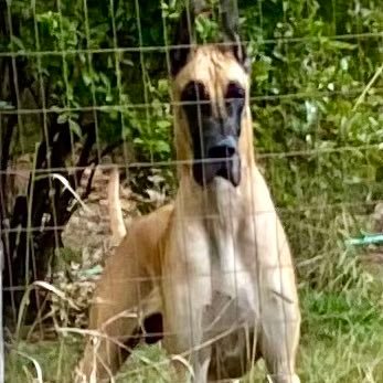 JeffreyNei75931's profile picture. Information curator for intelligent people