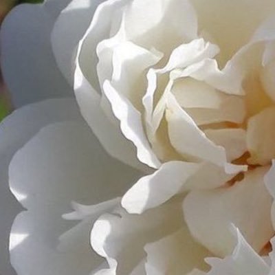 lili_skyline's profile picture. A society without privacy becomes a database. | #AllLivesMatter | IA Creations @ https://t.co/jxsXJgDixj