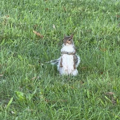 DumbGuy64055's profile picture. 
