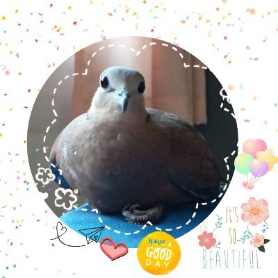 mebkkthailand's profile picture. 🇹🇭  📚  ชีวิตเดินหน้าต่อไป 🙂 📌 
🧠 Brain tumor ,  Lung cancer #dementia #Alzheimers #alzheimer #cancer