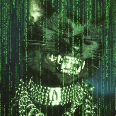 PressurePicasso's profile picture. Artist | Degen Prophet | Freedom Maxi | Memes are in the eyes of the Beholder🃏 🔥🧠 περισσός