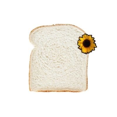 Bake_yeopx2's profile picture. 상엽씨 도토리 그만 숨기세요