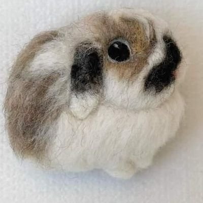 hukuhuku2953's profile picture. 月山のふもと🏔️福子さん（3歳♀🐰）との暮らし🍀
うさぎ🐰競馬🏇植物🌿本📚️寿司🍣が心の栄養