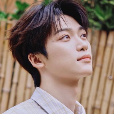 ti4nz1yu's profile picture. ZiYu 💙 Tian Xuning 💛 @luansantana ☄️ Supernatural ✡️