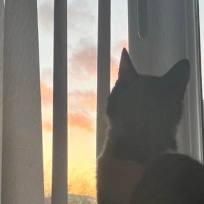 user25050820501's profile picture.