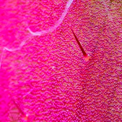 moss_li56059's profile picture. 林子大了什么你都有