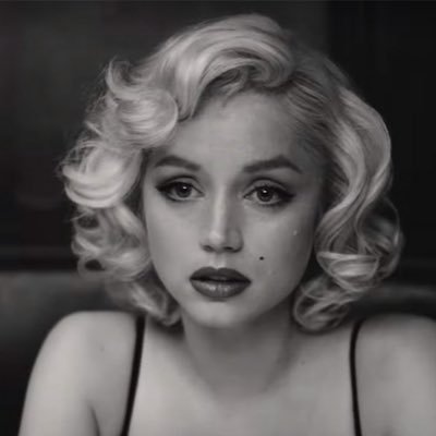 Dutchy530482's profile picture. 