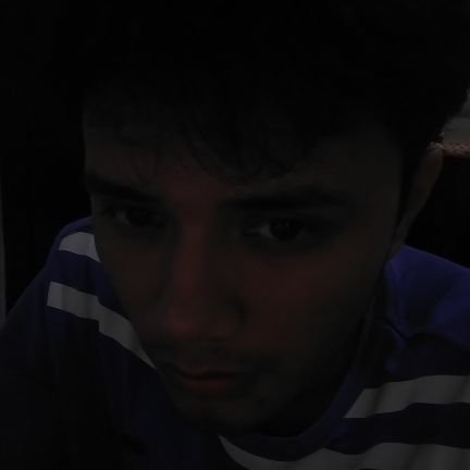 raulantodev's profile picture. Full stack developer | python & django | vue & nuxt