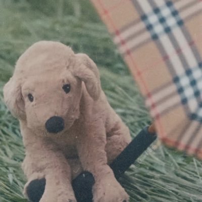 rararapuppy's profile picture. 