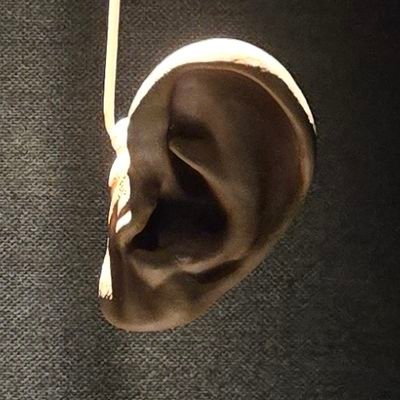 KAIM_251015's profile picture. 