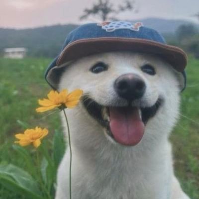 destinysyoun's profile picture. 힘들때웃는자가일류다!!!