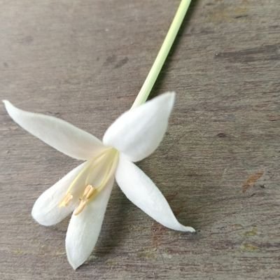 Wongplyist1's profile picture. https://t.co/lyckij3idZ