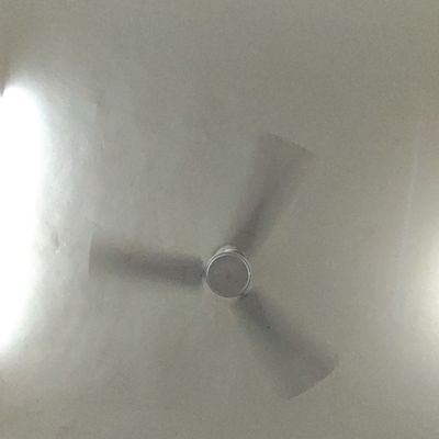 AnuragK53525729's profile picture.