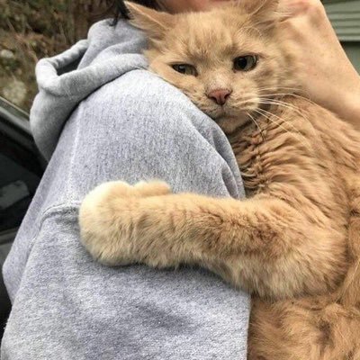 imroyaaa's profile picture. 
