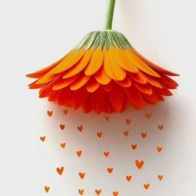 bd181931's profile picture.