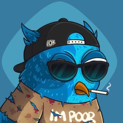 Xayn | M⨀N Profile