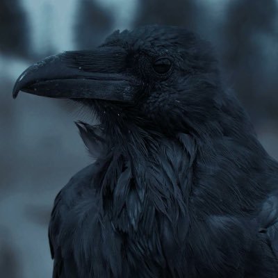 C_r_o_w_0_7's profile picture. 🐦‍⬛