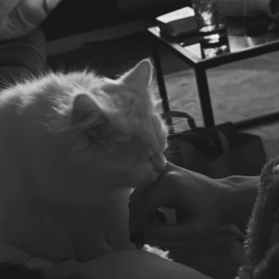 Atakan2529's profile picture. 