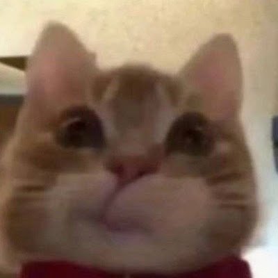 StarjackedWB's profile picture. Just Riize Wonbin. Hijacking Wonbin fits.👔🙄Credit source for re-shares/edit©️ Starjacked_WONBIN