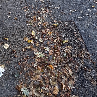 Mohamma25933113's profile picture. 