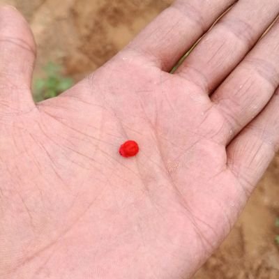 LBawta's profile picture. Filling Proud Indian ArMy🇮🇳🇮🇳👍