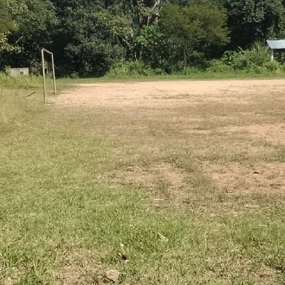 marina1511958's profile picture. 