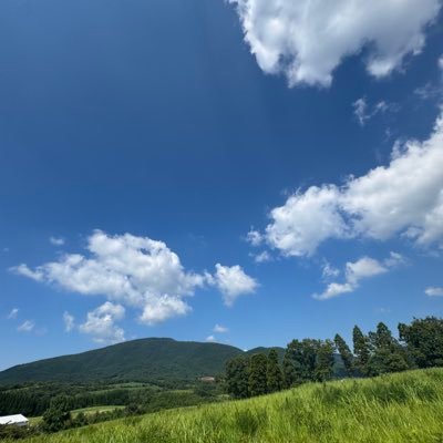 GopxG9UWUhOB1KF's profile picture. 