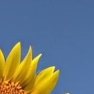 nccn852837's profile picture. 