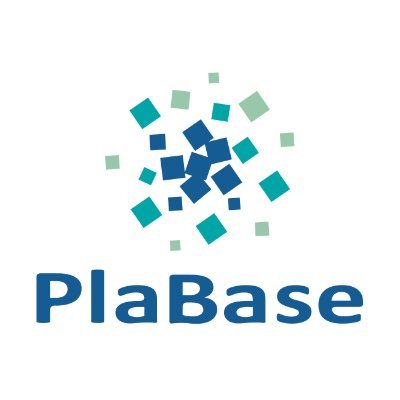 PlaBase__'s profile picture. はじめまして～👋 私はPlaBaseでバイトしている女子大生です🎓 文系ですが、実はプラスチックが大好きなんです😳 やさしくて奥が深いプラの世界をこれから紹介していこうと思います🌷 フォローよろしくお願いします✨️ #PlaBase #プラベース