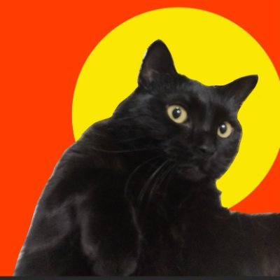 Jo_InWeb3's profile picture. | web3 explorer | goonfluencer @plumenetwork | magnitude 4.0 @SeismicSys | collab: @vharon727
