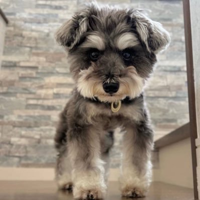 hiromarketing01's profile picture. WEB系のフリーランス | マーケティング、SNS運用勉強中