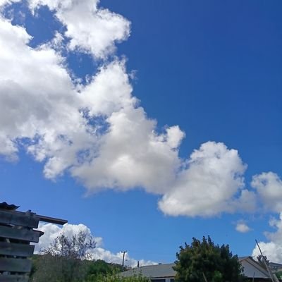 NicolasAnd18438's profile picture. Anticomunista hasta la muerte